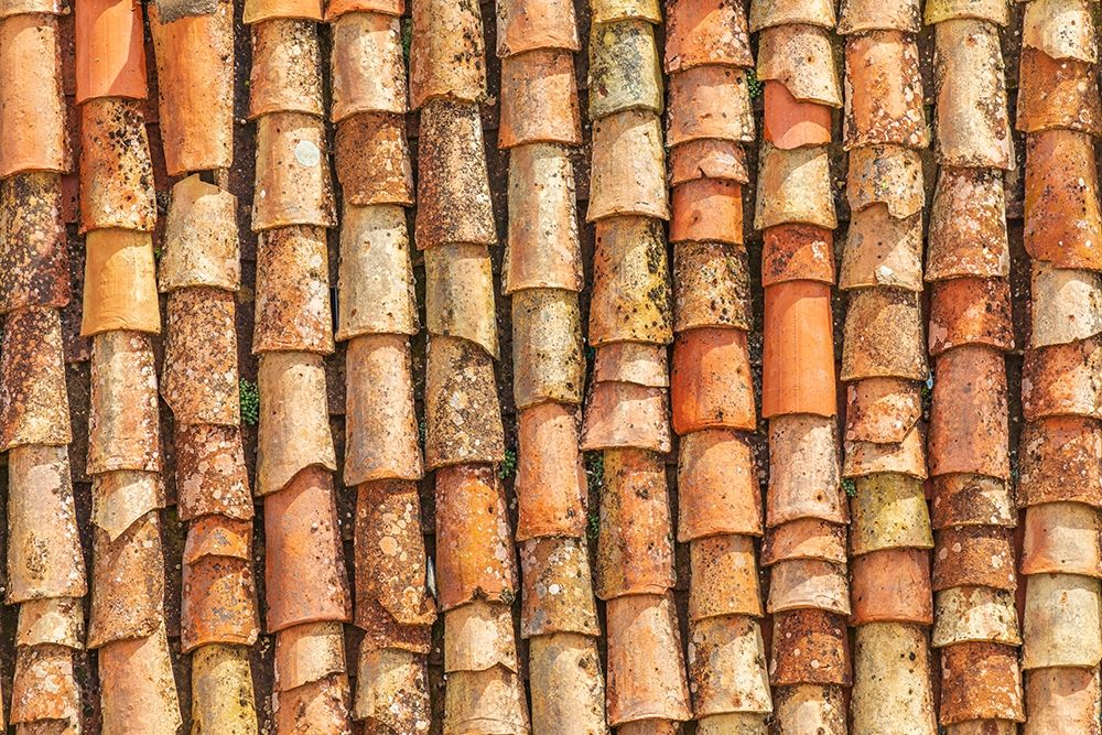 Wall Art Painting id:402903, Name: Palermo Province-Gangi Terracotta roof tiles in the town of Gangi in the mountains of Sicily, Artist: Wilson, Emily