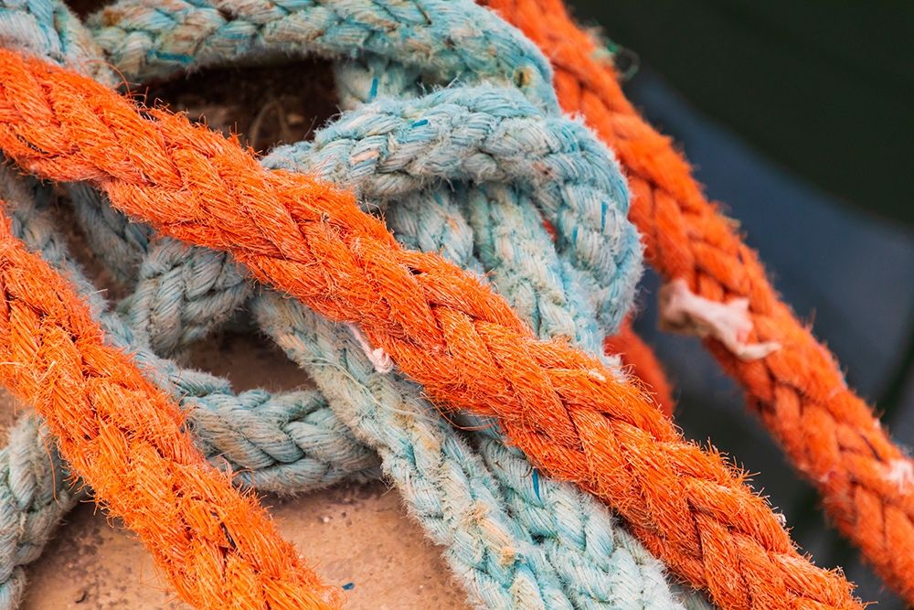 Wall Art Painting id:402929, Name: Agrigento Province-Sciacca Ropes on a fishing boat in the harbor of Sciacca, Artist: Wilson, Emily