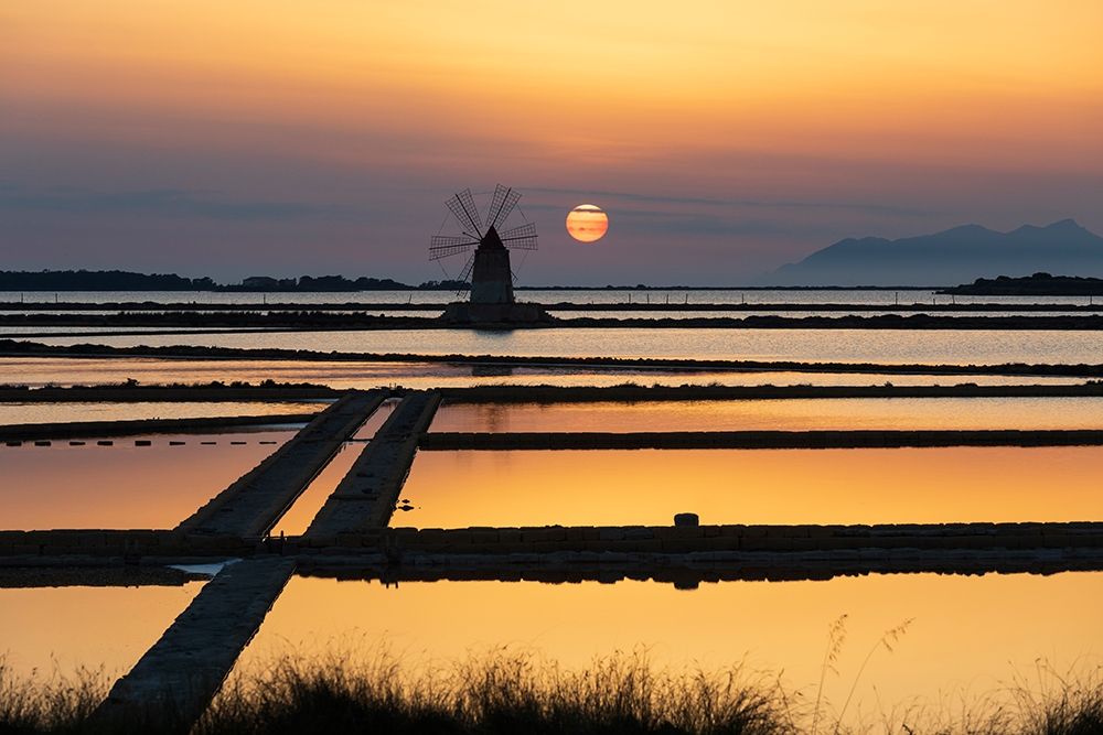 Wall Art Painting id:402941, Name: Trapani Province-Marsala Wind mills at the salt evaporation ponds in the Stagnone Nature Reserve, Artist: Wilson, Emily