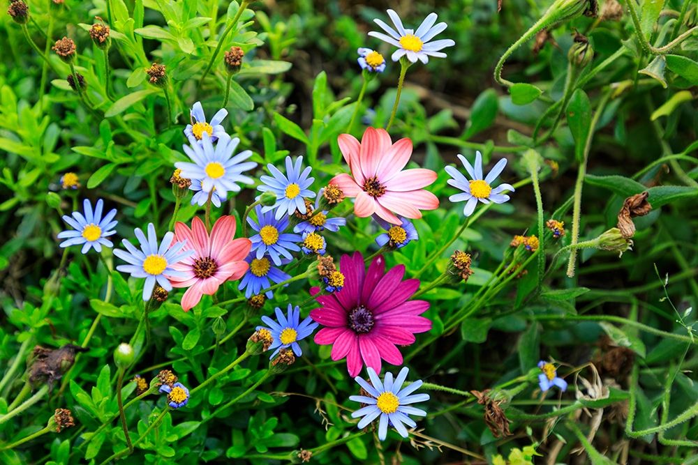 Similar wall art painting: 402971