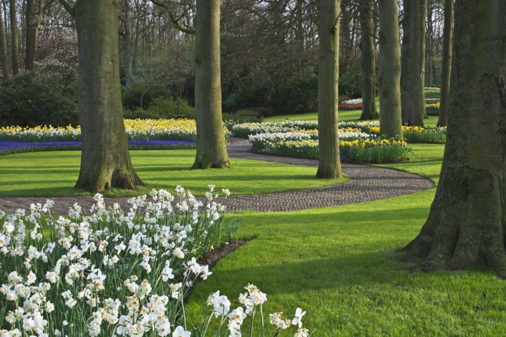 Wall Art Painting id:127784, Name: Netherlands, Lisse Blooming flowers and trees, Artist: Flaherty, Dennis