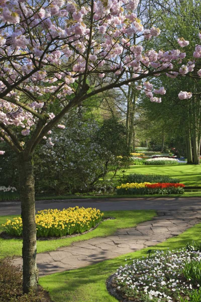 Wall Art Painting id:127486, Name: Netherlands, Lisse Garden park in Spring, Artist: Flaherty, Dennis