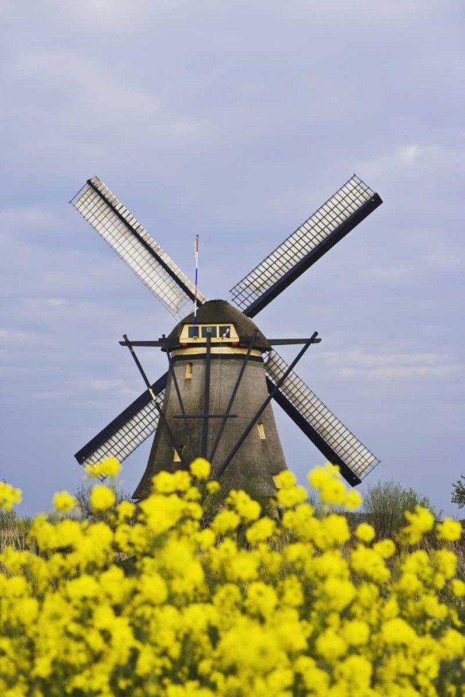 Wall Art Painting id:127767, Name: Netherlands, Kinderdijk Windmill with flowers, Artist: Flaherty, Dennis