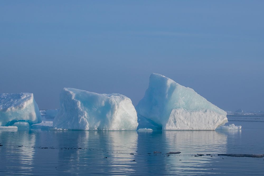 Wall Art Painting id:512581, Name: Norway-High Arctic Ice landscape with icebergs, Artist: Hopkins, Cindy Miller