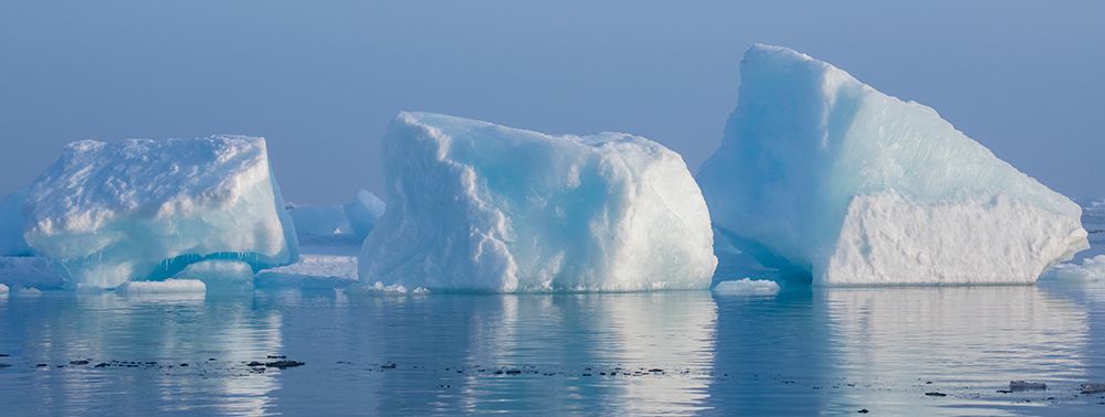 Wall Art Painting id:512582, Name: Norway-High Arctic Ice landscape with icebergs, Artist: Hopkins, Cindy Miller