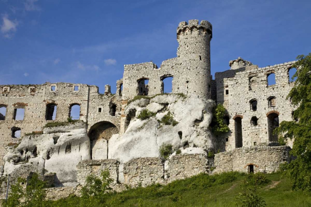 Wall Art Painting id:136620, Name: Poland Close-up of Ogrodzieniec Castle, Artist: Zuckerman, Jim