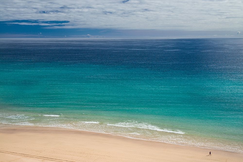 Wall Art Painting id:403266, Name: Canary Islands-Fuerteventura Island-Costa Calma-high angle view of Playa de Sotavento beach, Artist: Bibikow, Walter