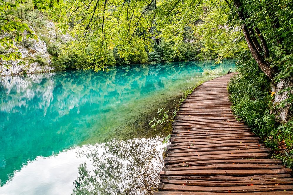 Wall Art Painting id:403454, Name: Croatia Plitvice Lakes National Park Walkway along the water in Plitvice Lakes National Park, Artist: Wilson, Emily