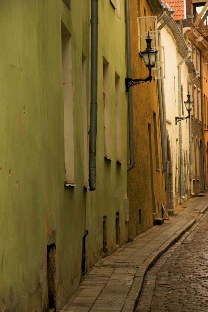 Wall Art Painting id:133525, Name: Estonia, Tallinn Narrow cobblestone street , Artist: Ross, Nancy ,  Steve