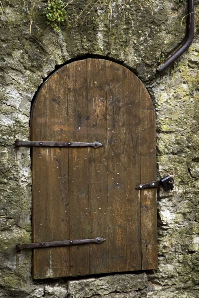 Wall Art Painting id:133550, Name: Estonia, Tallinn Old wooden door in stone wall, Artist: Ross, Nancy ,  Steve