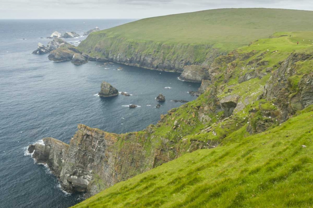 Wall Art Painting id:128951, Name: Scotland, Shetland Islands Island of Unst, Artist: Illg, Cathy and Gordon