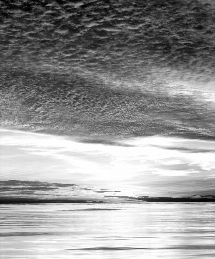 Similar wall art painting: 135047