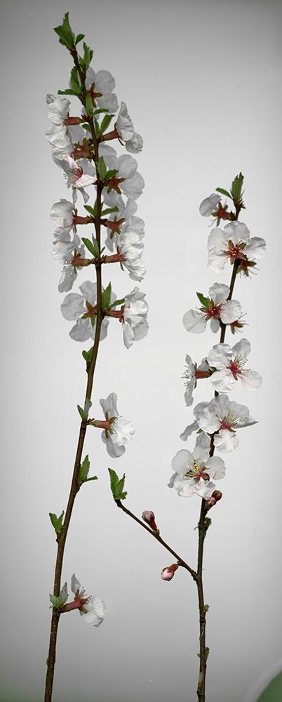 Similar wall art painting: 403585