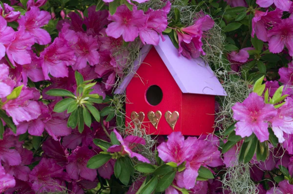 Wall Art Painting id:133651, Name: Birdhouse and Azaleas in Garden, Artist: Rotenberg, Nancy