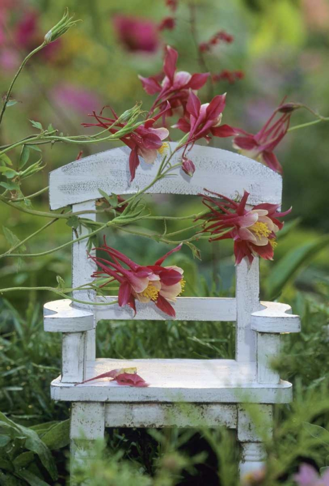 Wall Art Painting id:133643, Name: Columbine and chair in garden, Artist: Rotenberg, Nancy