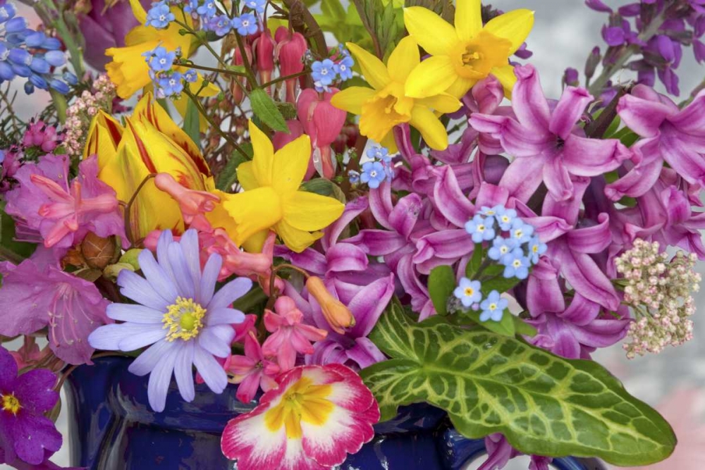 Wall Art Painting id:131788, Name: Close-up of spring flower arrangement, Artist: Paulson, Don