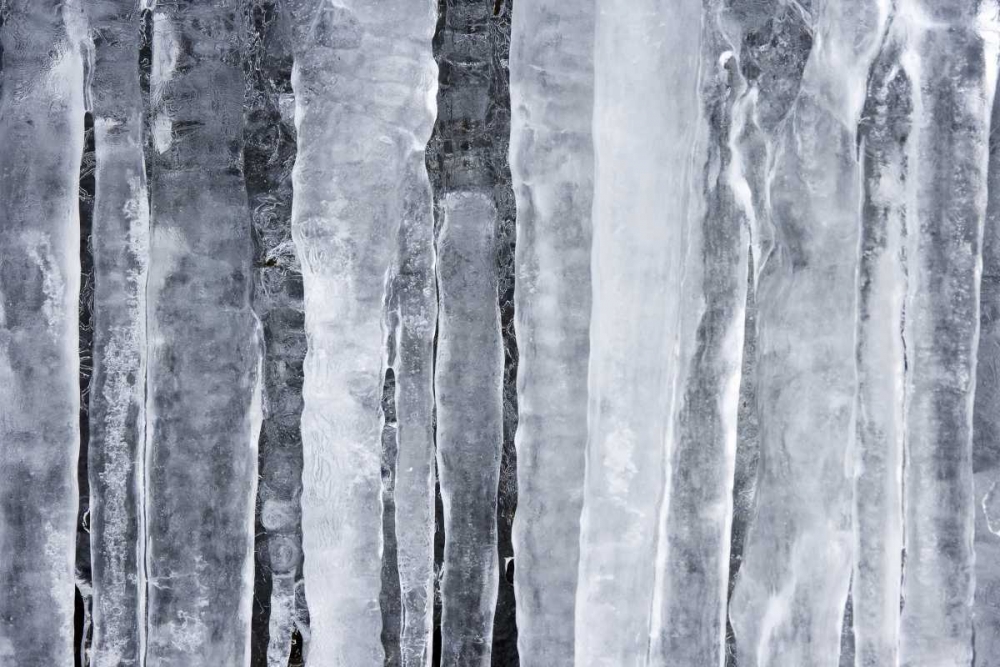 Wall Art Painting id:131651, Name: Detail of hanging icicles, Artist: Paulson, Don