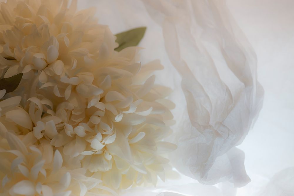 Similar wall art painting: 403937