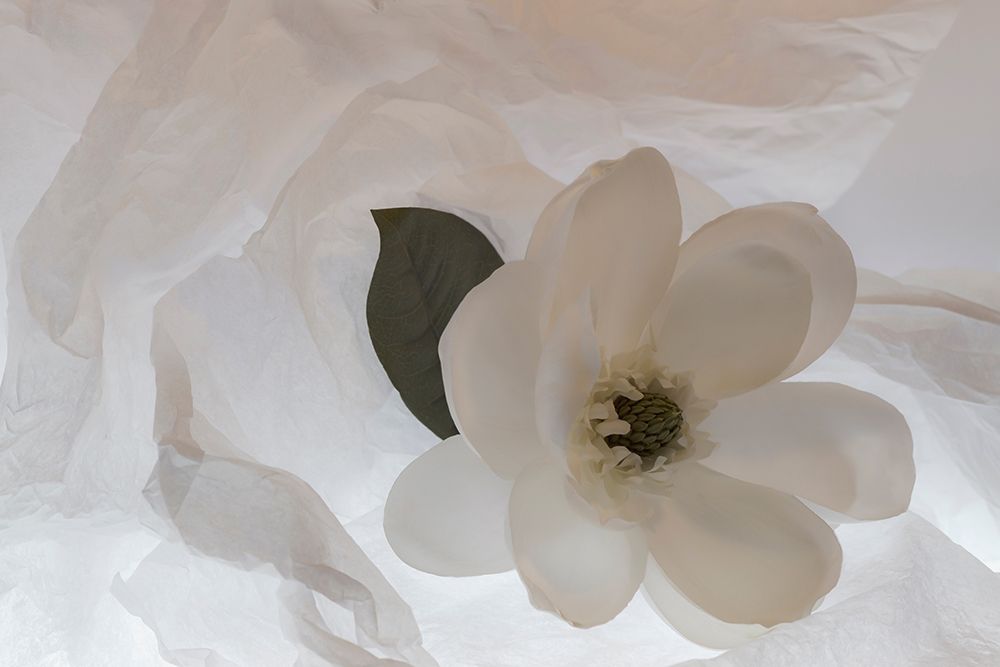 Similar wall art painting: 403938