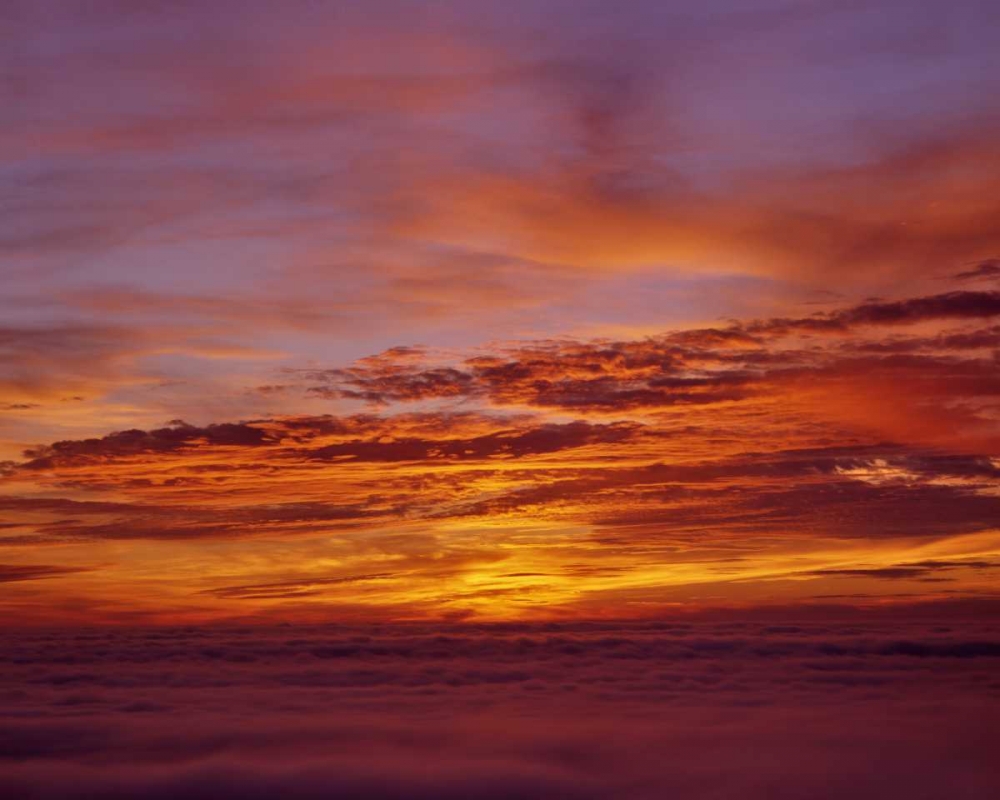 Wall Art Painting id:135759, Name: Sunset over the ocean from Cape Perpetua, OR, USA, Artist: Terrill, Steve