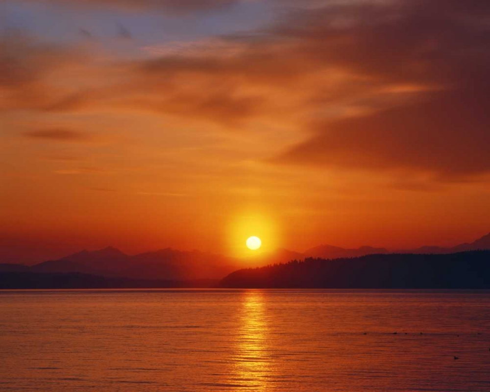 Wall Art Painting id:135483, Name: Sunset over the Olympic Mountains, WA, USA, Artist: Terrill, Steve