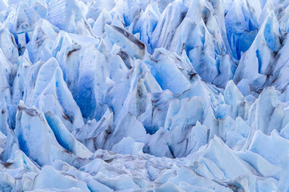 Wall Art Painting id:129282, Name: Chile, Patagonia, Torres del Paine NP Glacier, Artist: Illg, Cathy and Gordon