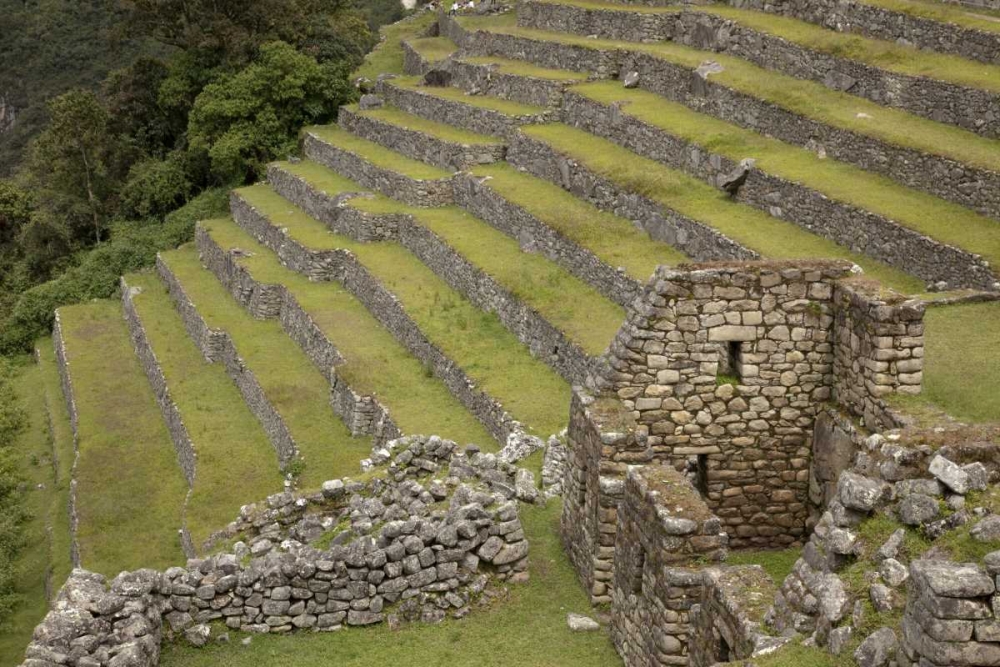 Wall Art Painting id:130002, Name: Peru, Machu Picchu Agricultural terraces, Artist: Kaveney, Wendy