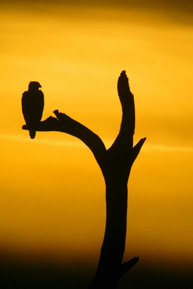 Similar wall art painting: 131180