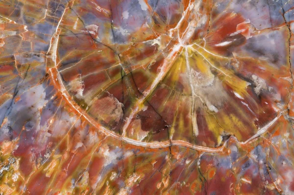 Similar wall art painting: 130679