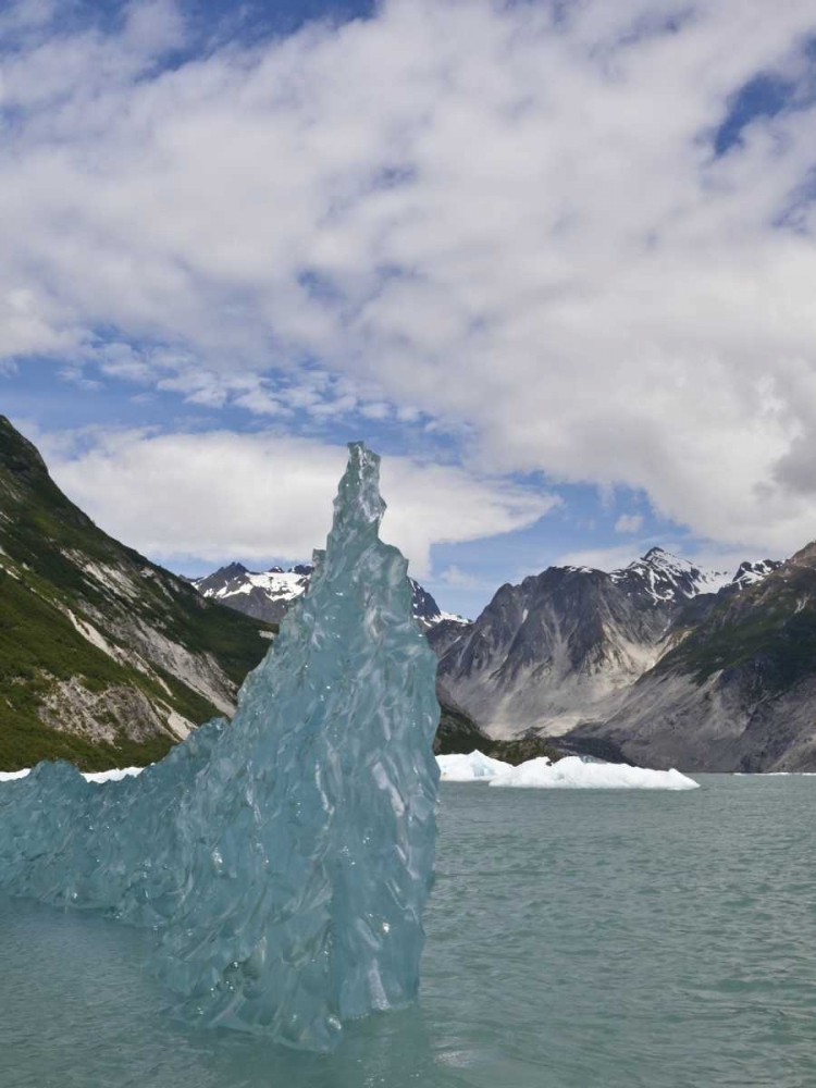 Wall Art Painting id:131785, Name: AK, Glacier Bay NP Floating iceberg, Artist: Paulson, Don