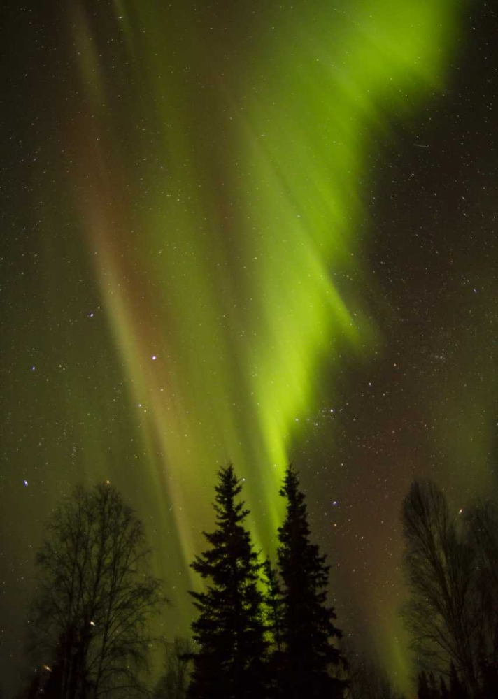 Wall Art Painting id:128931, Name: Alaska, Chena Hot Springs Aurora borealis, Artist: Illg, Cathy and Gordon