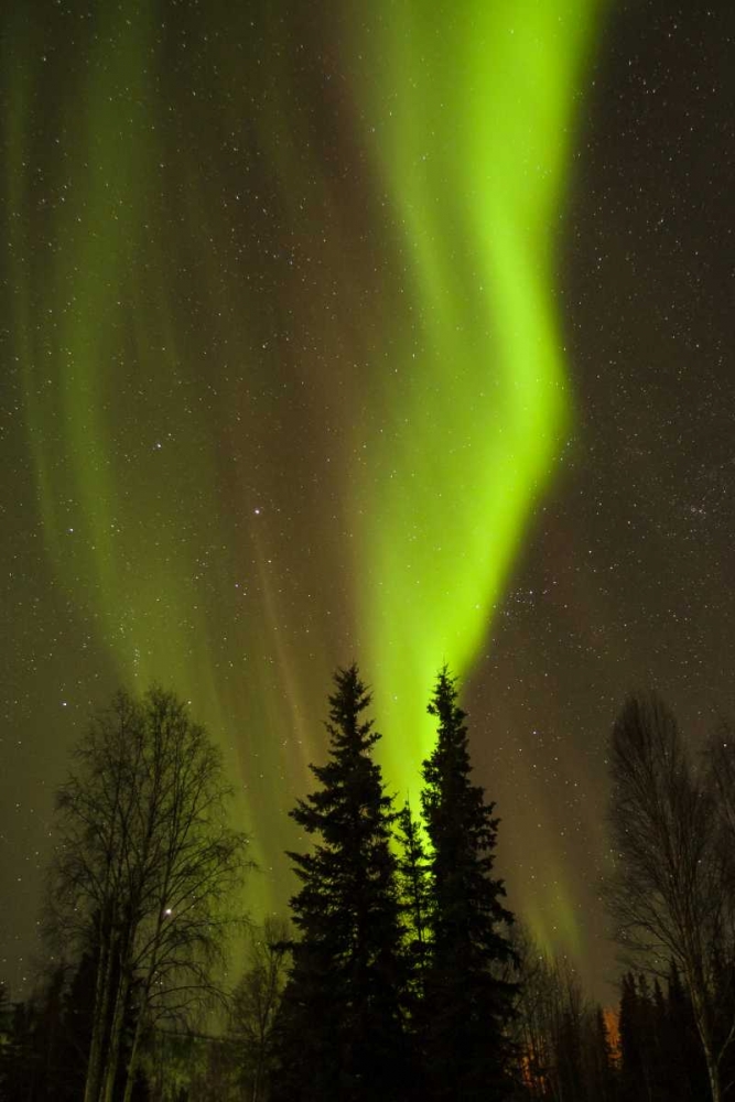 Wall Art Painting id:128932, Name: Alaska, Chena Hot Springs Aurora borealis, Artist: Illg, Cathy and Gordon