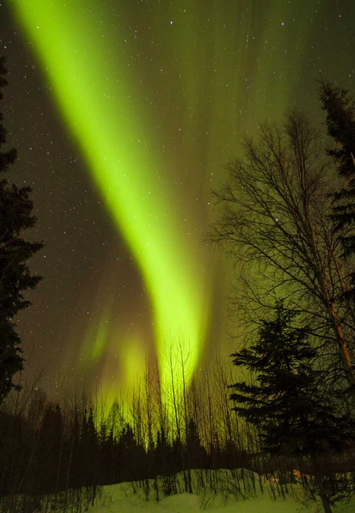 Wall Art Painting id:128934, Name: Alaska, Chena Hot Springs Aurora borealis, Artist: Illg, Cathy and Gordon