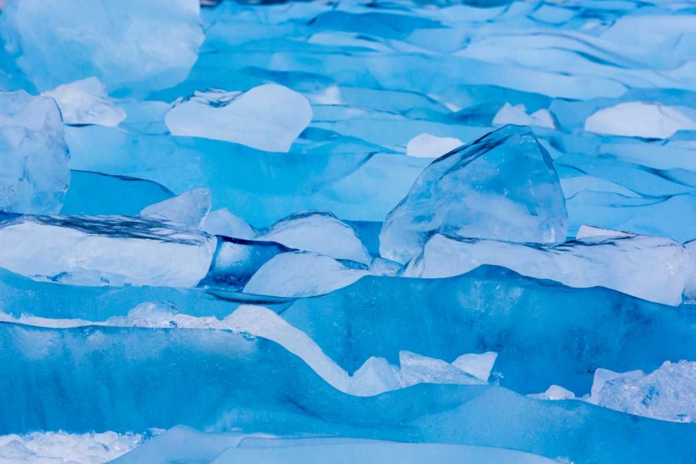 Wall Art Painting id:133241, Name: USA, Alaska, Glacier Bay NP Close-up of blue ice, Artist: Paulson, Don