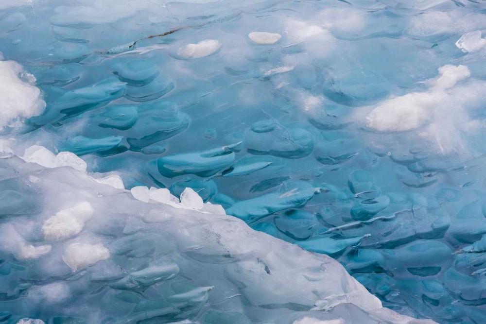 Wall Art Painting id:133242, Name: USA, Alaska, Glacier Bay NP Close-up of blue ice, Artist: Paulson, Don