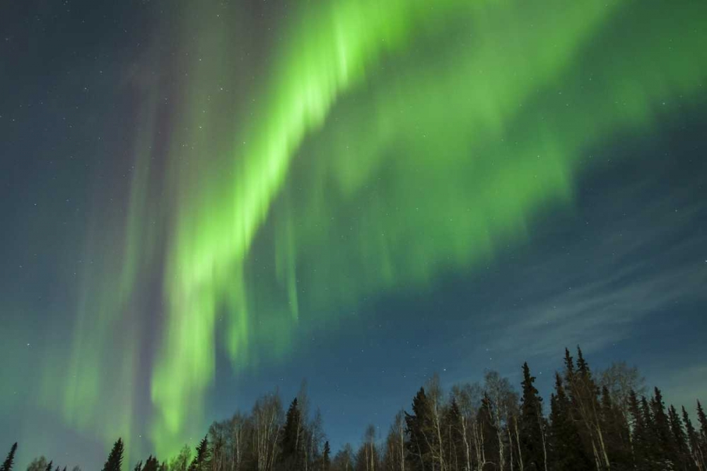 Wall Art Painting id:128855, Name: USA, Alaska Aurora borealis over forest, Artist: Illg, Cathy and Gordon