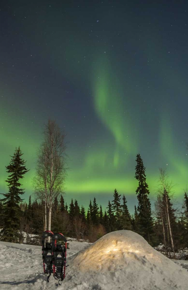 Wall Art Painting id:129300, Name: AK A quinzee snow shelter and aurora borealis, Artist: Illg, Cathy and Gordon