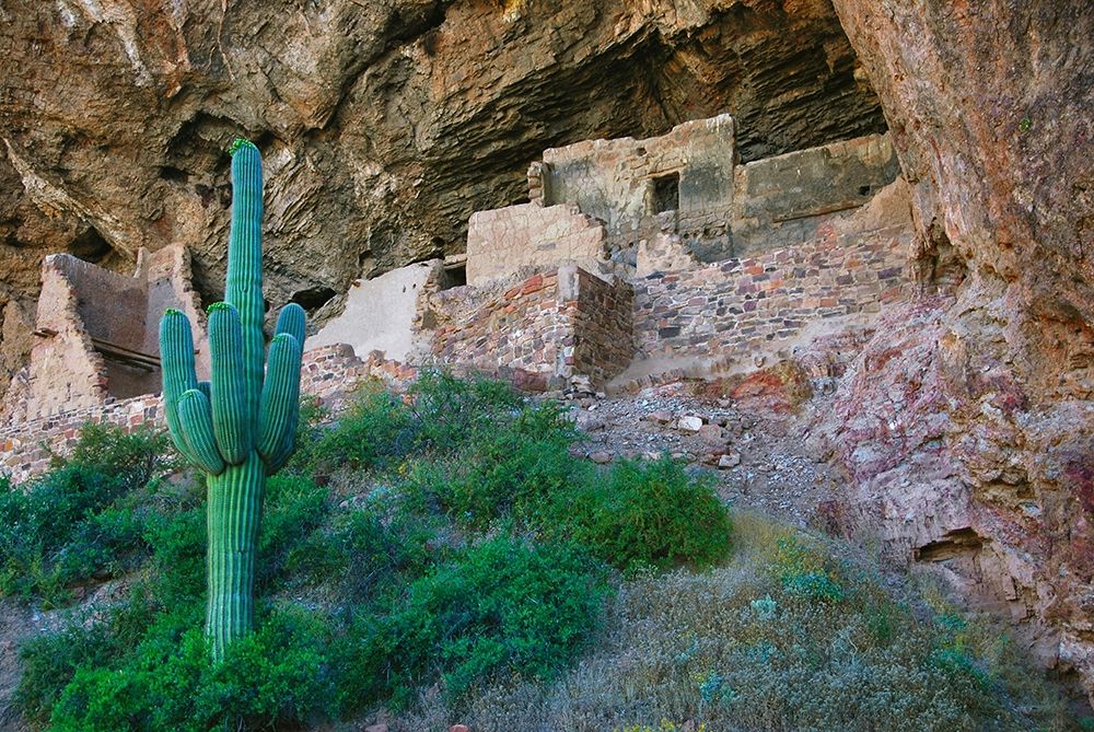 Wall Art Painting id:404694, Name: Tonto National Monument-Arizona-USA, Artist: Miller, Anna