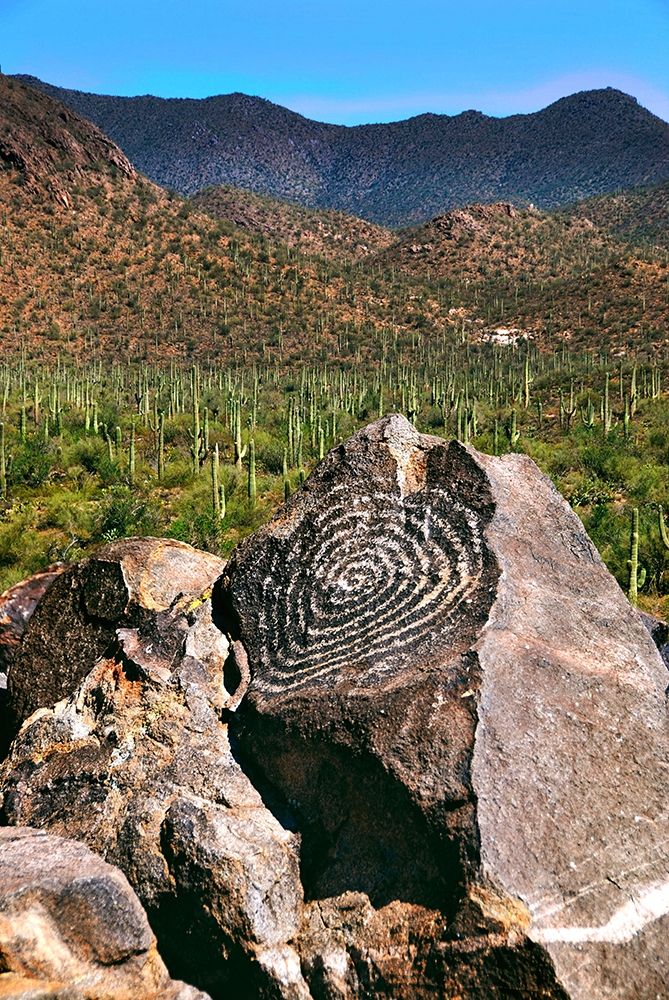 Wall Art Painting id:404695, Name: Signal Hill Petroglyphs-Arizona-USA, Artist: Miller, Anna