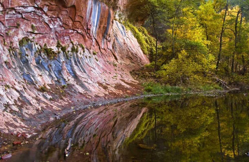 Art Print: AZ, Sedona Cliff recflection along a creek