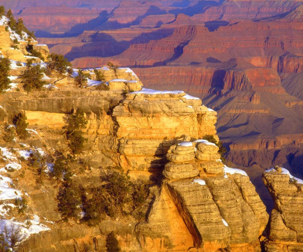 Wall Art Painting id:134730, Name: USA, Arizona, Grand Canyon NP in winter, Artist: Talbot Frank, Christopher