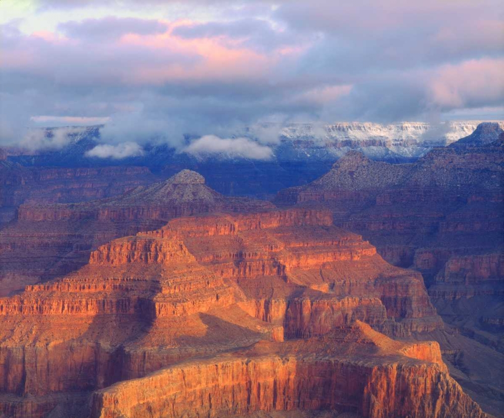 Wall Art Painting id:134731, Name: USA, Arizona, Grand Canyon NP in winter, Artist: Talbot Frank, Christopher