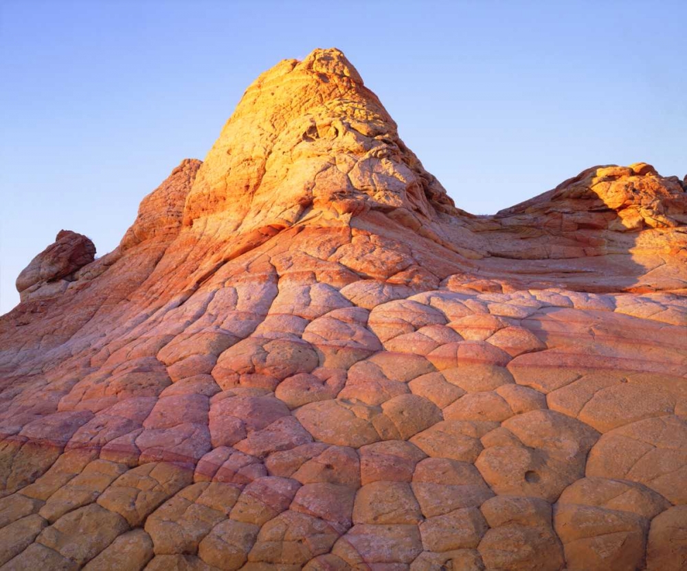 Wall Art Painting id:134663, Name: Arizona, Paria Canyon, Artist: Talbot Frank, Christopher