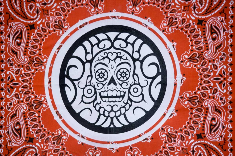 Wall Art Painting id:130070, Name: Arizona, Phoenix Bandana with skull design, Artist: Kaveney, Wendy