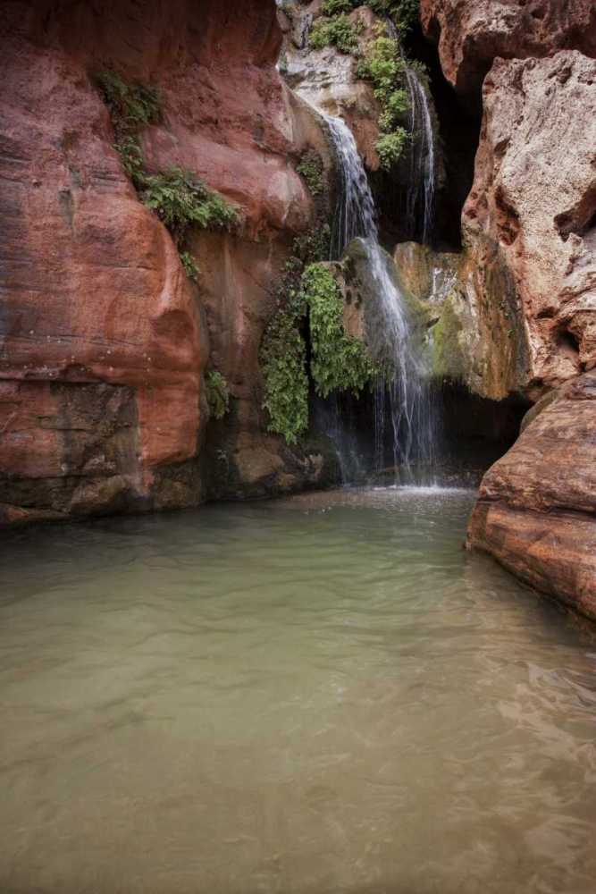 Wall Art Painting id:128227, Name: Arizona, Grand Canyon NP View of Elves Chasm, Artist: Grall, Don