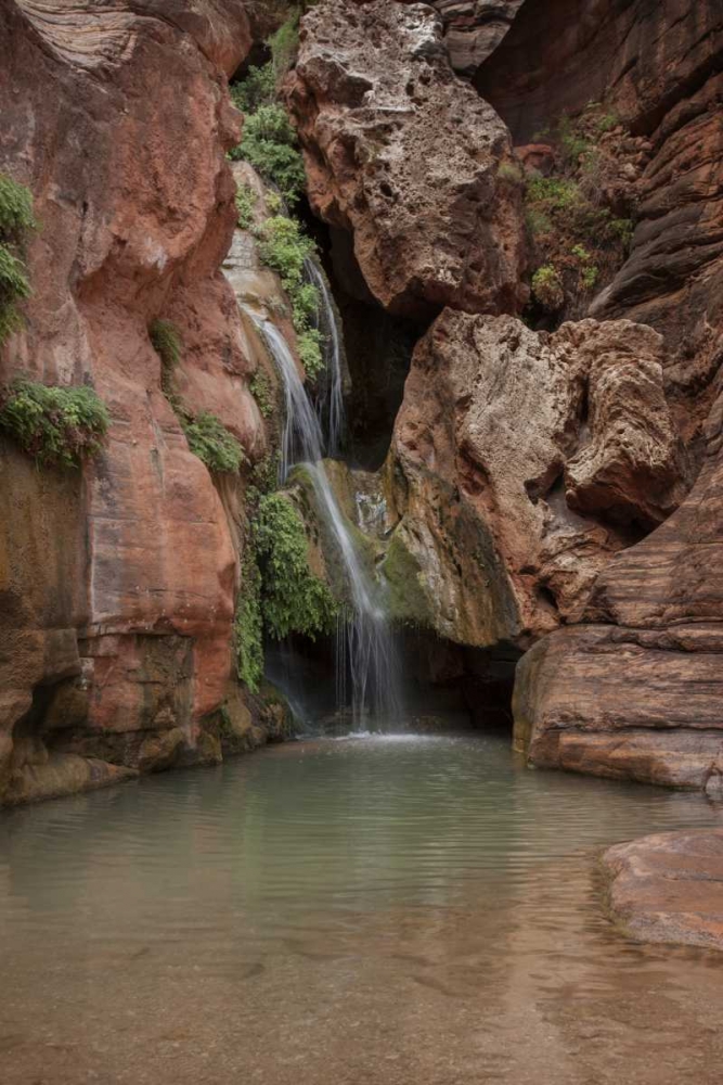 Wall Art Painting id:128319, Name: Arizona, Grand Canyon Waterfall at Elves Chasm, Artist: Grall, Don