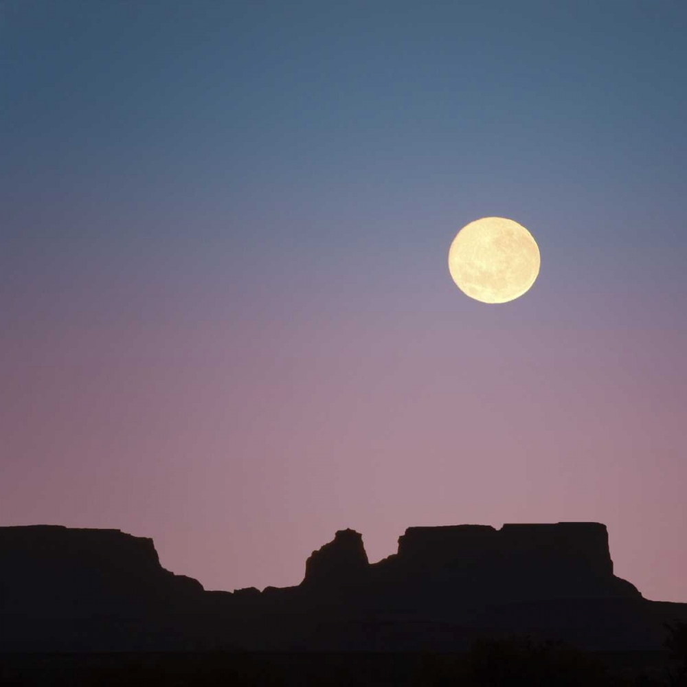 Wall Art Painting id:131719, Name: USA, Arizona Moonrise over butte, Artist: Paulson, Don