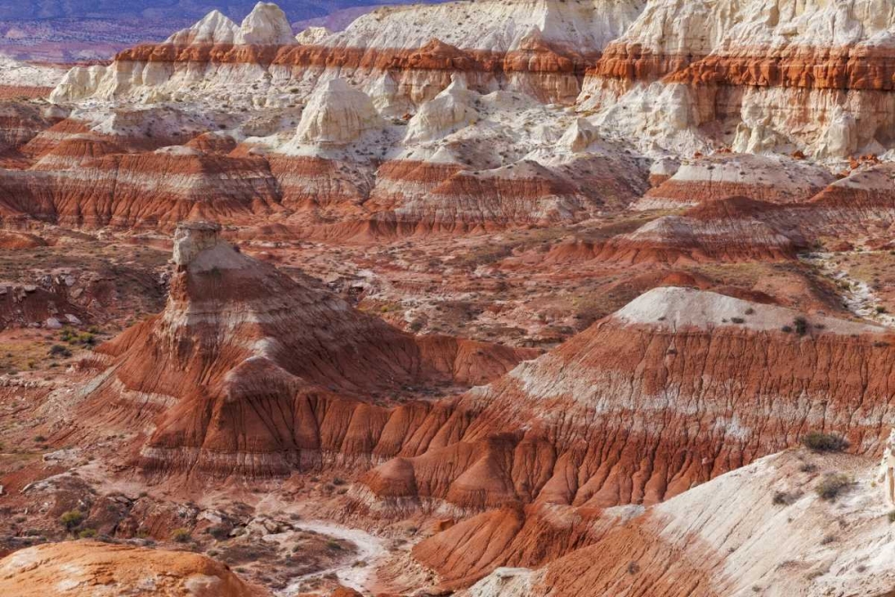 Wall Art Painting id:132605, Name: USA, Arizona A desert area called Toad Stools, Artist: Paulson, Don