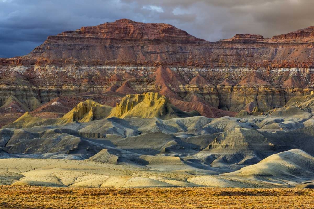 Wall Art Painting id:131796, Name: Arizona Landscape in Glen Canyon NRA, Artist: Paulson, Don