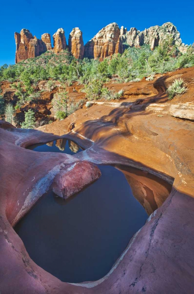 Wall Art Painting id:133758, Name: USA, Arizona, Sedona Water pools in rock, Artist: Rotenberg, Nancy